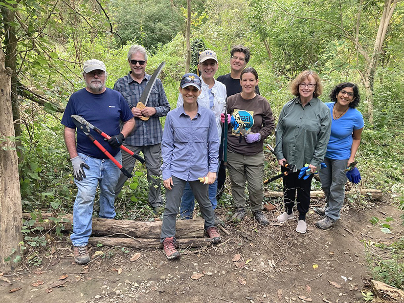 A group of volunteers clearing brush in Bird Park