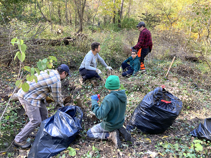 Volunteers clearing brush in Bird Park